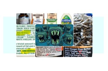 feature image collage, Anchovy Extract: Another Sneaky Gout Trigger, gout causing ingredients, gout blog